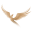 Fenix Nails Logo